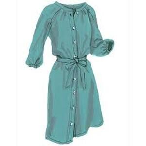 J. Peterman Co Sea Green Knee Length Classic Brooklyn Shirt Dress Womens Sz L